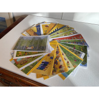 20 The Yellow Hat Tribe Cards